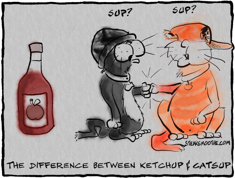 2013-01-25-catsup.png